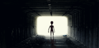 Grey giants or little green men? If there is intelligent alien life on other planets, what might it look like?