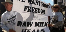 Florida E. coli outbreak linked to raw milk