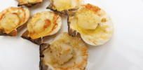 90% of wild fisheries are dangerously depleted. Plant-based and cultivated seafood products may offer an alternative without the need for destructive practices