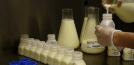 For the 75% of babies globally who are fed formula, this genetically engineered, nutritionally-enhanced plant-based milk could dramatically improve infant health