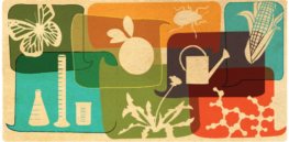 Viewpoint: Few topics in science, health and food elicit more fear and misconceptions than the phrase GMO, most of it based on intentional disinformation