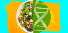 'New opportunities to democratize gene-edited crops and promote global sustainability': Nature Biotechnology editors outline how small companies drive agricultural innovation