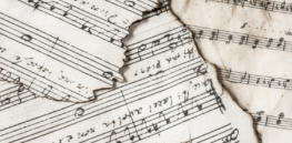 ‘It’s no wonder that music, like language, is universal among us’: How rhythm shaped human evolution