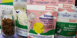 Are cell-cultivated animal meat substitutes healthy for pets?