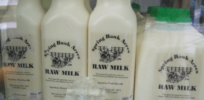 Mistrust in experts? How the 'unpasteurized milk movement' ballooned among conservatives