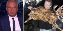 RFK, Jr. skewered after Vanity Fair profile includes photo of presidential aspirant eating grilled dog during Asia trip 14 years ago