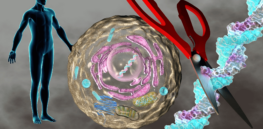 CRISPR 2.0: How AI can hlep design molecules that don't exist in nature to help treat rare diseases