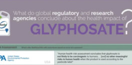 Infographic: Global regulatory and health research agencies on whether glyphosate causes cancer