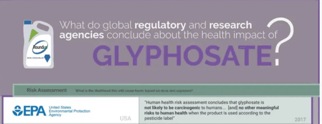 Infographic: Global regulatory and health research agencies on whether glyphosate causes cancer