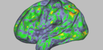 This is your brain on ‘magic mushrooms’