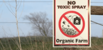 Viewpoint: Eating organic to help the environment? Think again