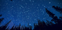 Are you a night owl? Genes from our Neanderthal ancestors could be responsible for the way we sleep