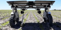 Hoe-wielding robots? Solar-powered ‘robo-weeders’ use AI to combat pesticide-resistant weeds