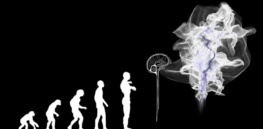 Ecosystem engineers: The intriguing ways humans are still evolving