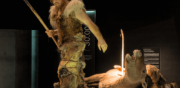 Neanderthals vs Homo sapiens: How social structures affected ancient species’ ability to survive