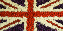 Viewpoint: England’s Precision Breeding Act 'remains an empty shell and serves no functional purpose’ — Will politics scuttle crop gene editing future?