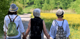 Delaying menopause? Why keeping ovaries working longer could potentially prevent age-related diseases