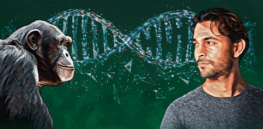 Chimpanzees and humans share 98.8% of their DNA — and just like people, ‘chimps are both bloodthirsty warmongers and thoughtful beings’