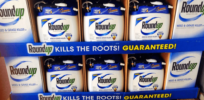 Bayer's latest Roundup court victory could provide protection in tort suits if upheld