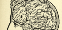 Human consciousness: How and why it evolved?