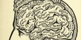 Human consciousness: How and why it evolved?