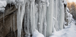 As ancient humans moved north, how did they survive the cold?