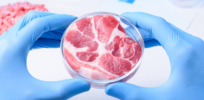 Cultured meat is just too expensive to produce to scale up? That could change dramatically, and soon