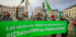 Viewpoint: Gene-editing roadblocks — Excessive regulations and a ‘guilty until proven innocent’ mindset hamper gene editing’s massive potential to address climate change