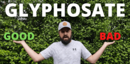 Is glyphosate weedkiller a danger to humans, bees and the environment? Addressing 10 controversial claims