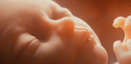 Do fetuses talk in the womb? How accents form before birth