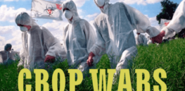 When Greenpeace wins, we all lose: The cynical war on genetically engineered crops grinds on