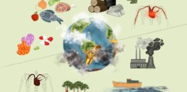Viewpoint: The Greens are wrong — Here's why humanity is good for nature
