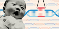 ‘Irresponsible’: China bans clinical research on germline human gene editing