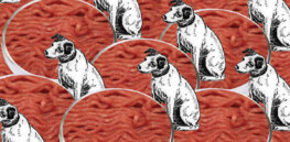 UK becomes first country to greenlight cultivated meat pet food sales