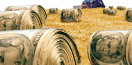 Viewpoint: These global organizations and billionaire foundations are directing the war against sustainably transforming our food system