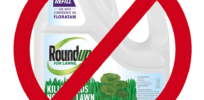 Viewpoint: Weaponized incompetence? The ethical and science contradictions of the International Agency for Research on Cancer’s controversial ‘probable carcinogen’ assessment of glyphosate