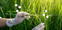 7 ways biotechnology can mitigate climate change challenges