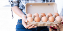 Do cage free egg hens really roam free outdoors? Challenging 10 egg myths