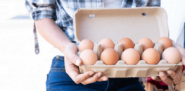 Do cage free egg hens really roam free outdoors? Challenging 10 egg myths