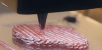 ‘Meat designers': How a start-up uses the patented 3D process ‘chaotic printing’ to lower the costs of cell-based meats