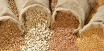 Viewpoint: Here’s why we need a globalized regulatory standard for gene-edited crops