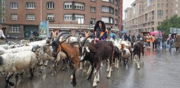 Viewpoint: Greenwashing irony—Organic food and farming exempt from Europe's green regulations despite evidence of sustainability lag