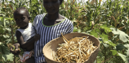 A lack of funding in agriculture is crippling Africa’s smallholder farms and exacerbating an already present food crisis