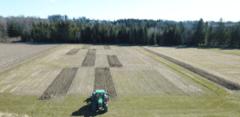 Canadian researchers in the early stages of developing effective and comparably inexpensive alternatives to glyphosate