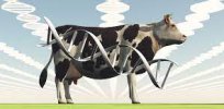 Can gene editing be safe and ethical?