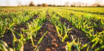Why consumers don’t know or care about the ‘regenerative agriculture’ movement so popular in progressive circles