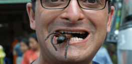 A quarter of the world’s population eats insects almost daily. What would it take for you to join in the feast?