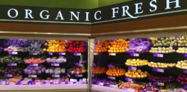 Organic farming and the 'healthy foods' industry have generated many food myths. Here are 7.