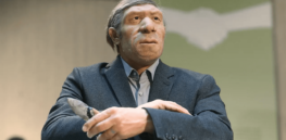 'We've not found evidence that Neanderthals wore clothes