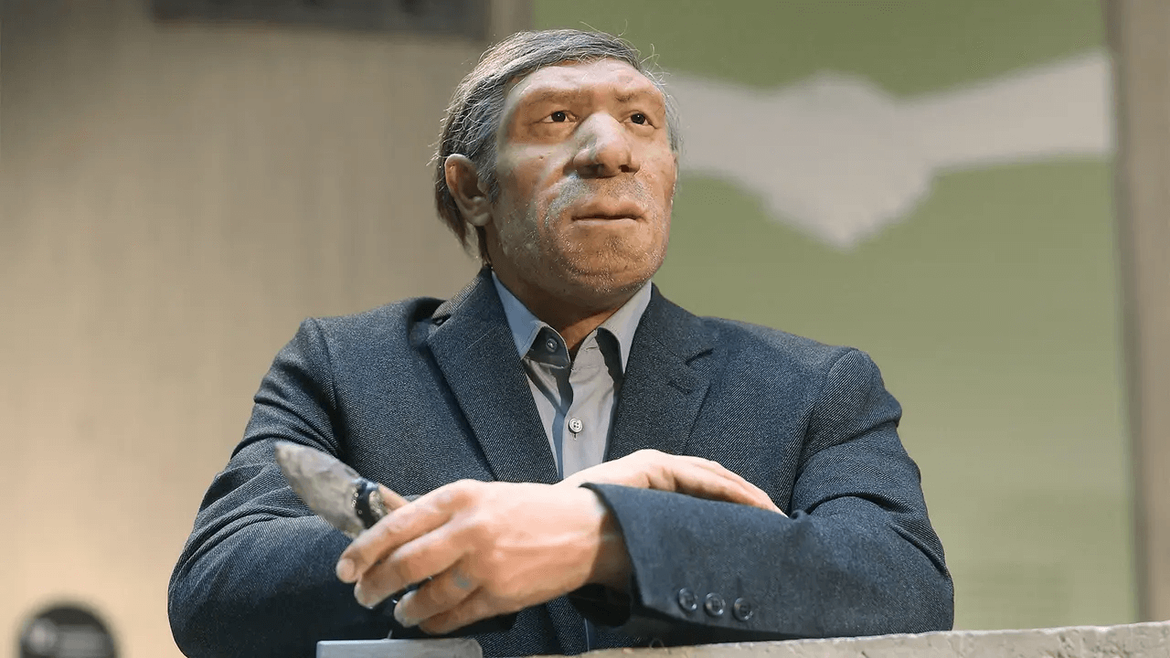 neanderthal dressed in modern attire Model Of A Neanderthal Man In Modern Clothing by Volker Steger / Nordstar
